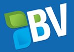 BigVisible