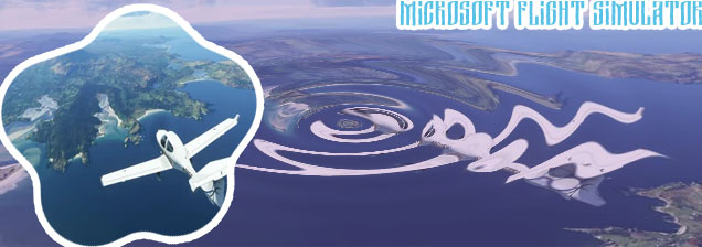 Microsoft flight simulator